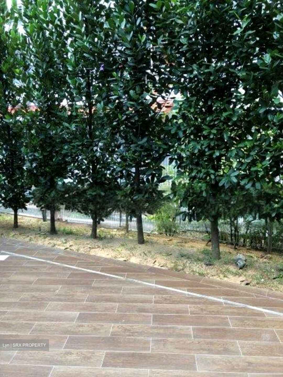 Eastrees (D15), Terrace #469339021